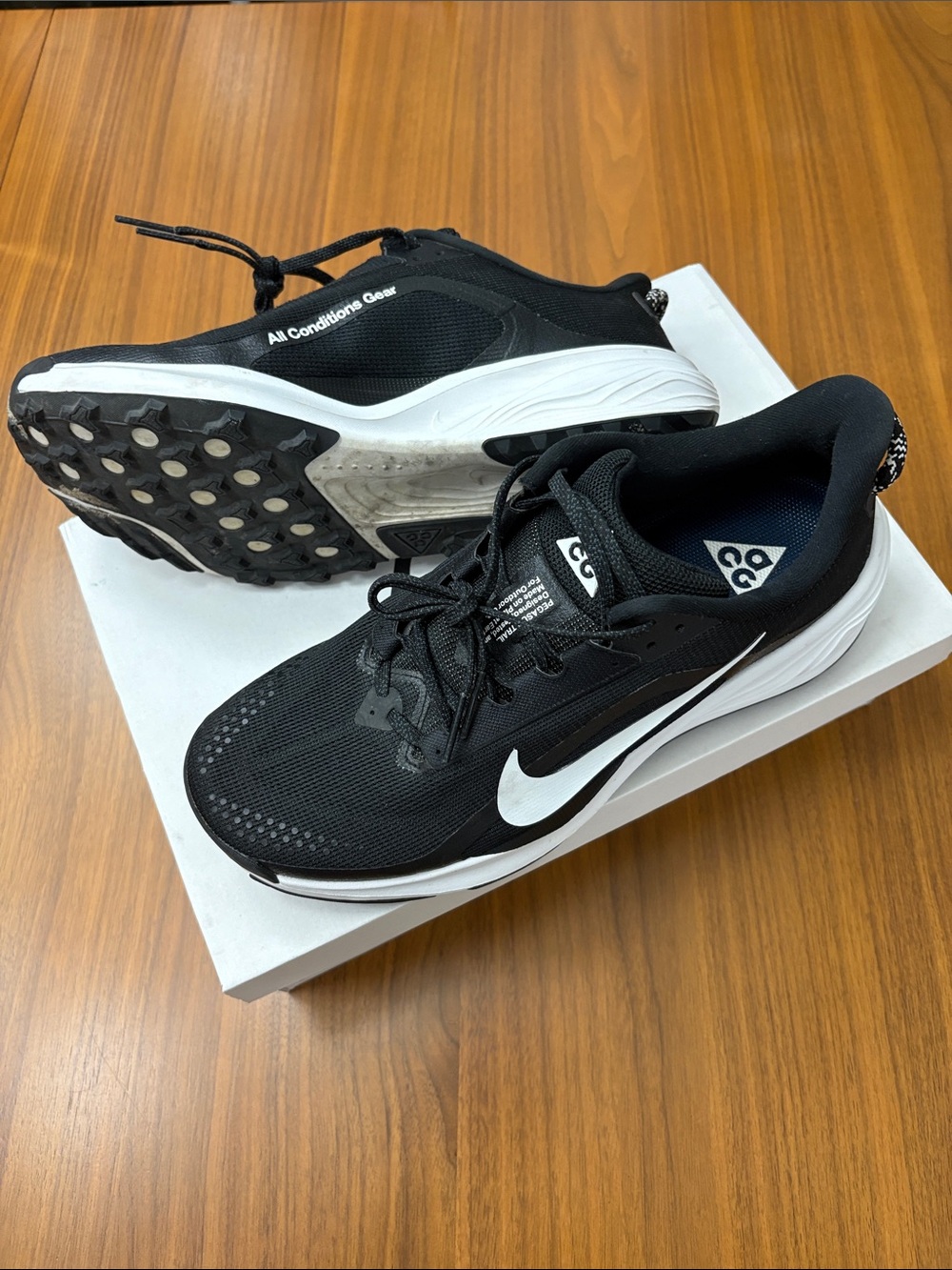 Nike ACG Pegasus Trail - Men's 10